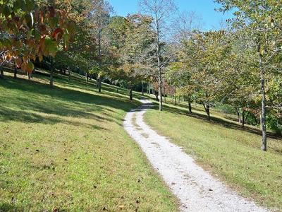 Paintsville Lake State Park