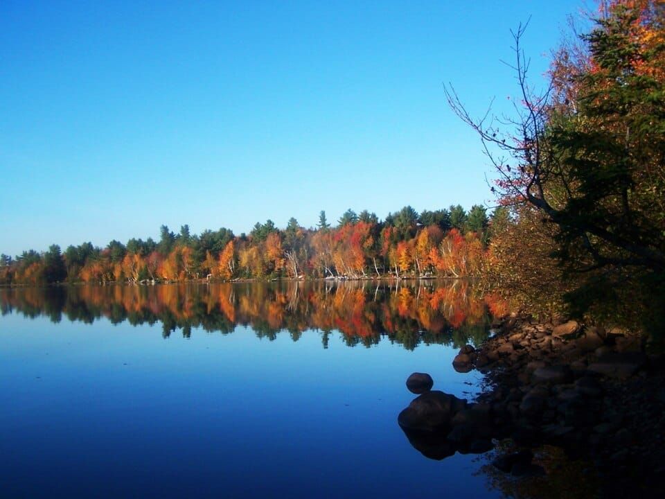 Falls Pond