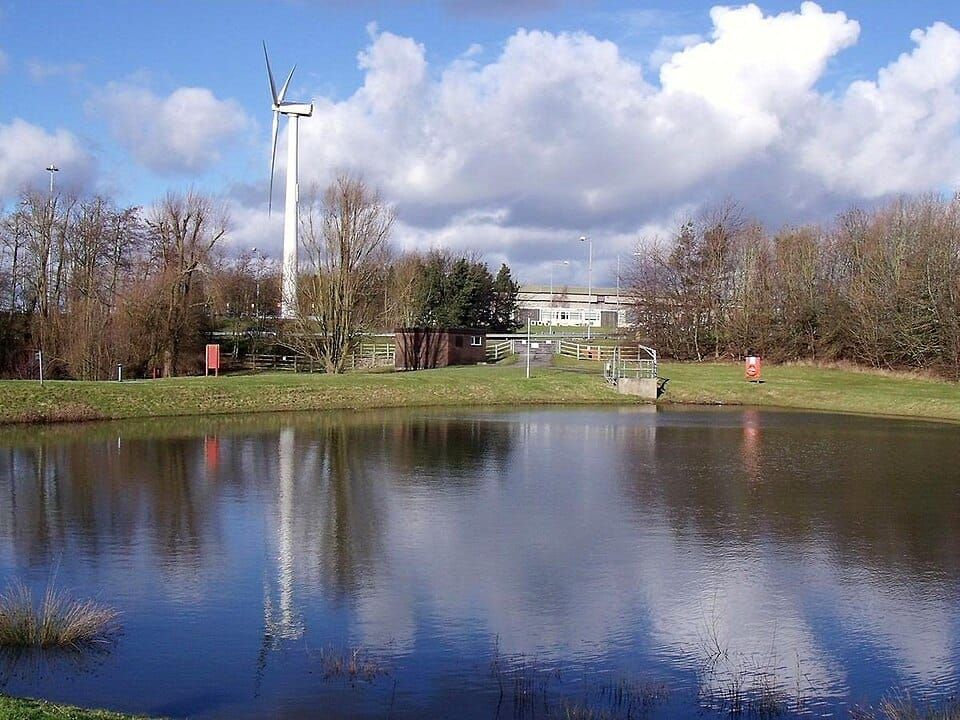 Swan Pond RIver