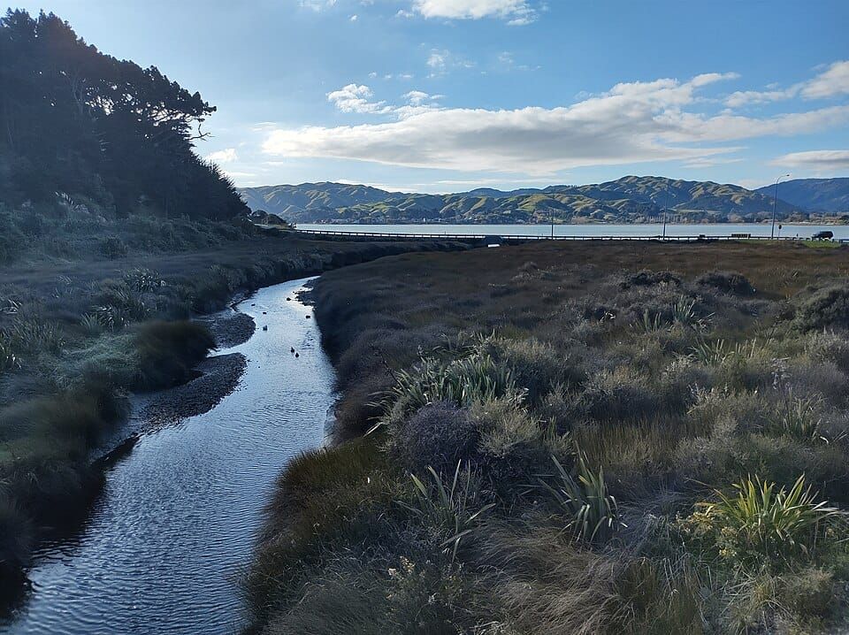 Duck Creek