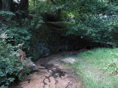 Seven Springs