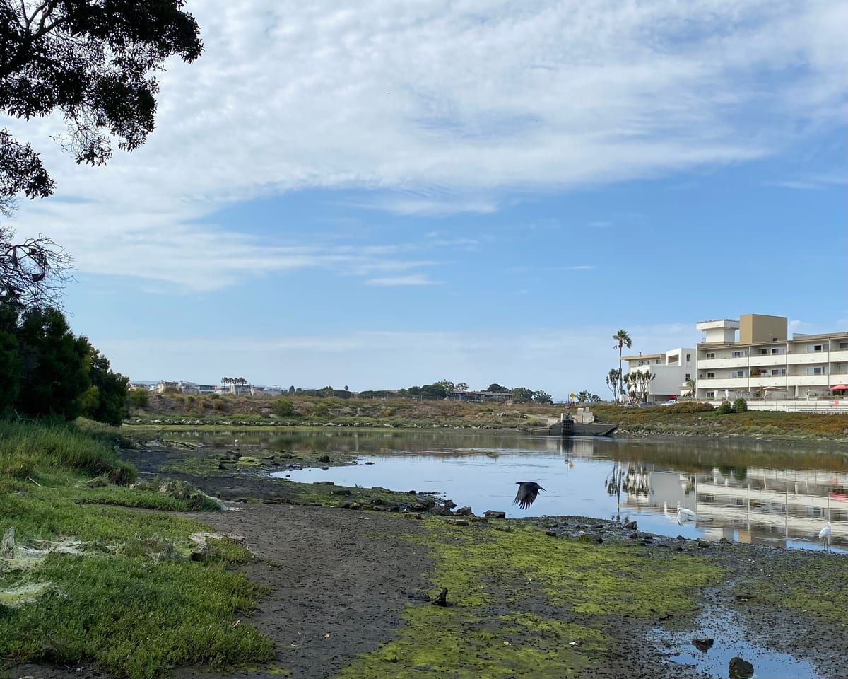 Del Rey Lagoon