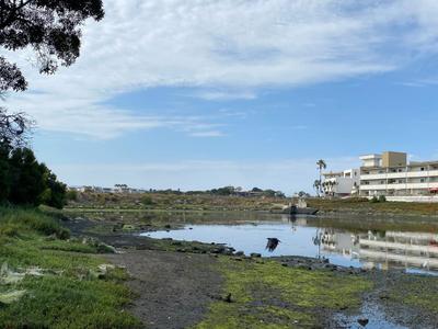 Del Rey Lagoon
