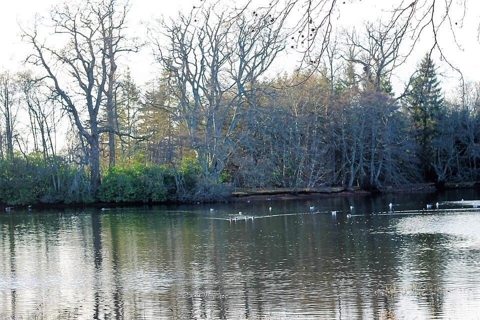 Gordon Lake