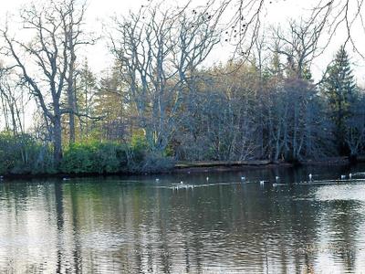 Gordon Lake