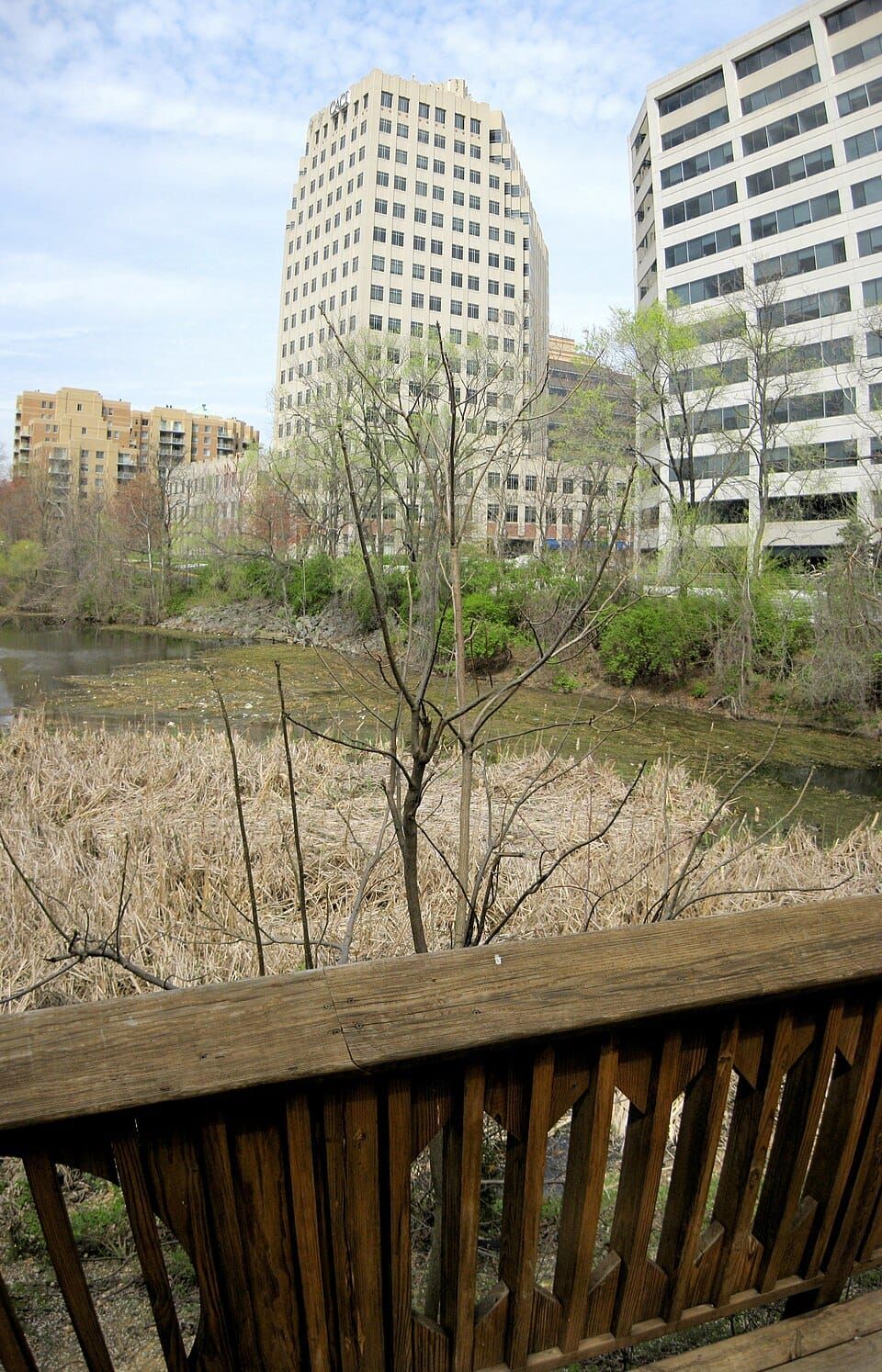 Ballston Beaver Pond