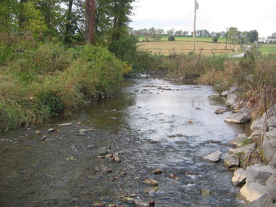 Buffalo Creek