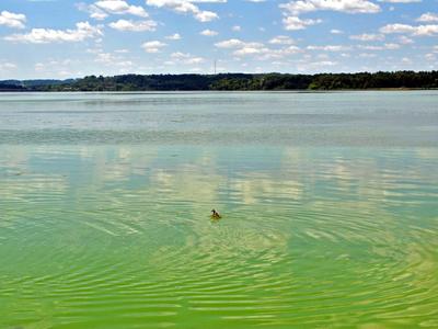 Lake Menomin