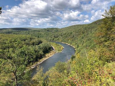 Delaware River Scenic Viewpoint