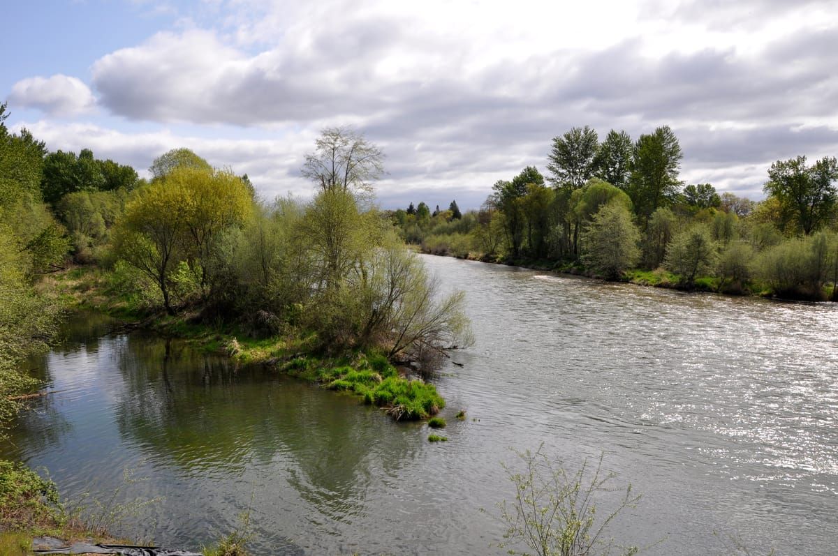 Rogue River Park