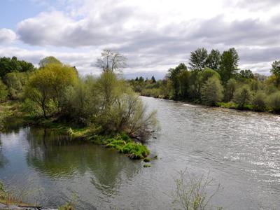 Rogue River Park