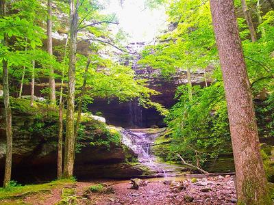 Ferne Clyffe Lake
