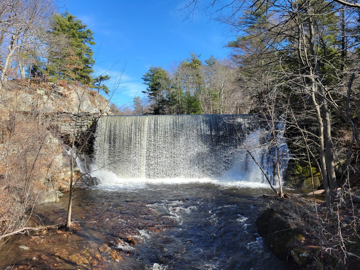 Puffers Pond