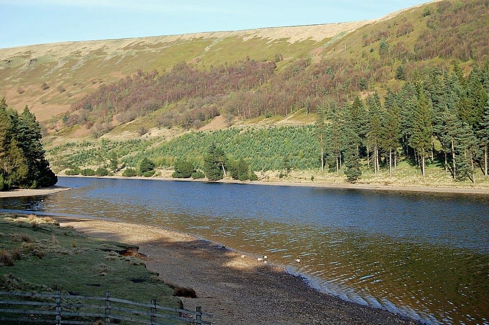 Woodland Reservoir