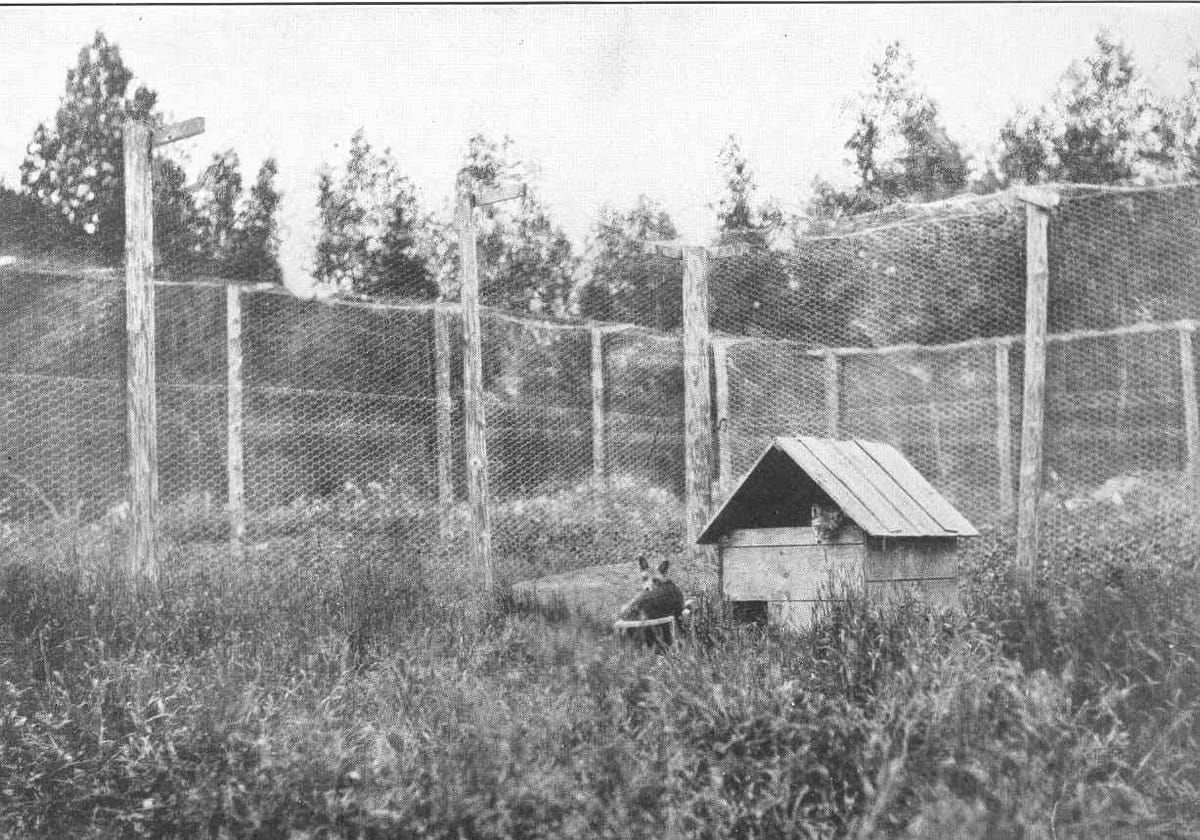 Kennel Lake