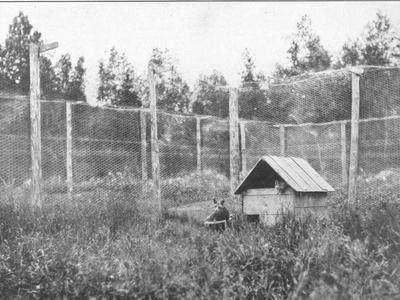 Kennel Lake