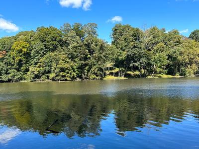 Speedwell Lake Park
