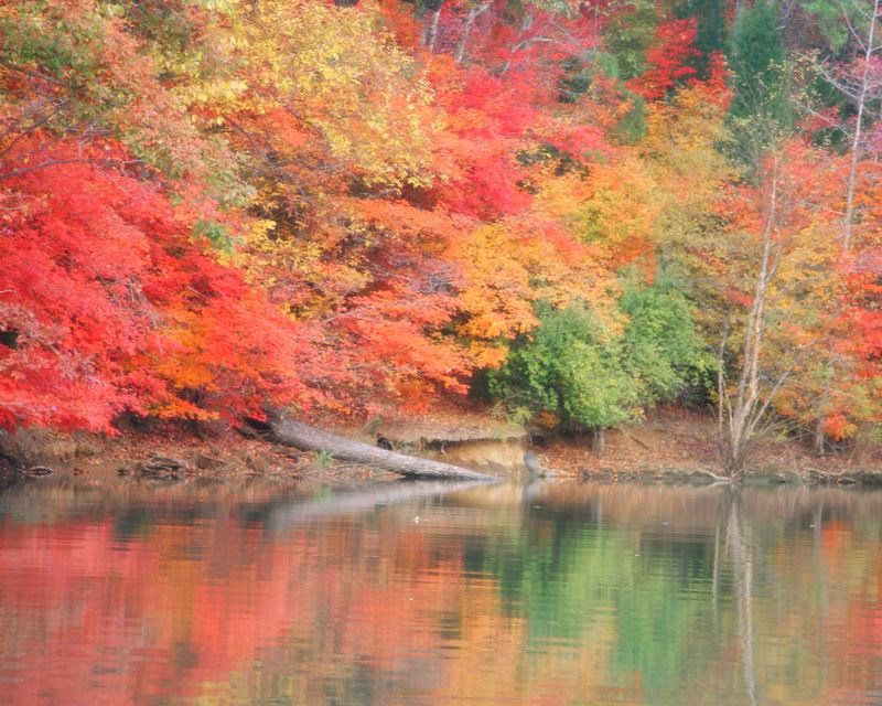 Lake Wylie
