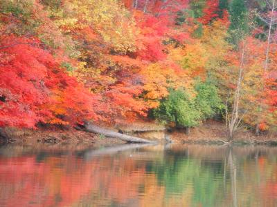 Lake Wylie