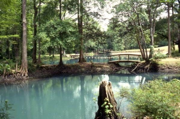 Jackson Blue Springs