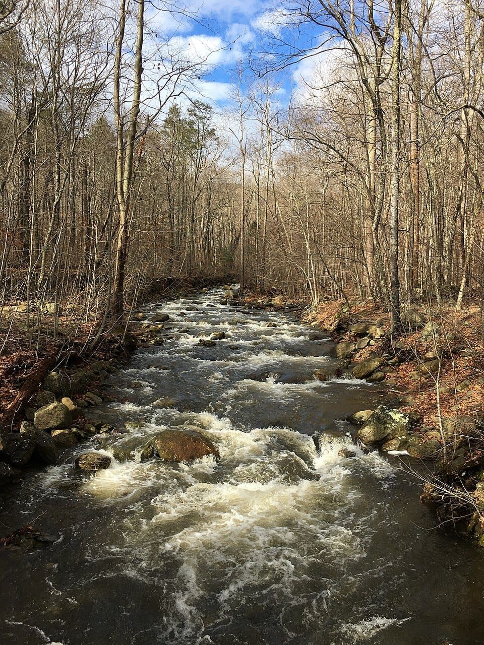Rose River