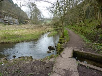 Bradford Spring