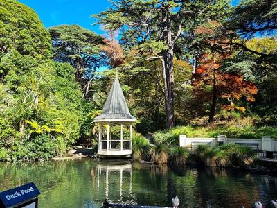 Duck Pond