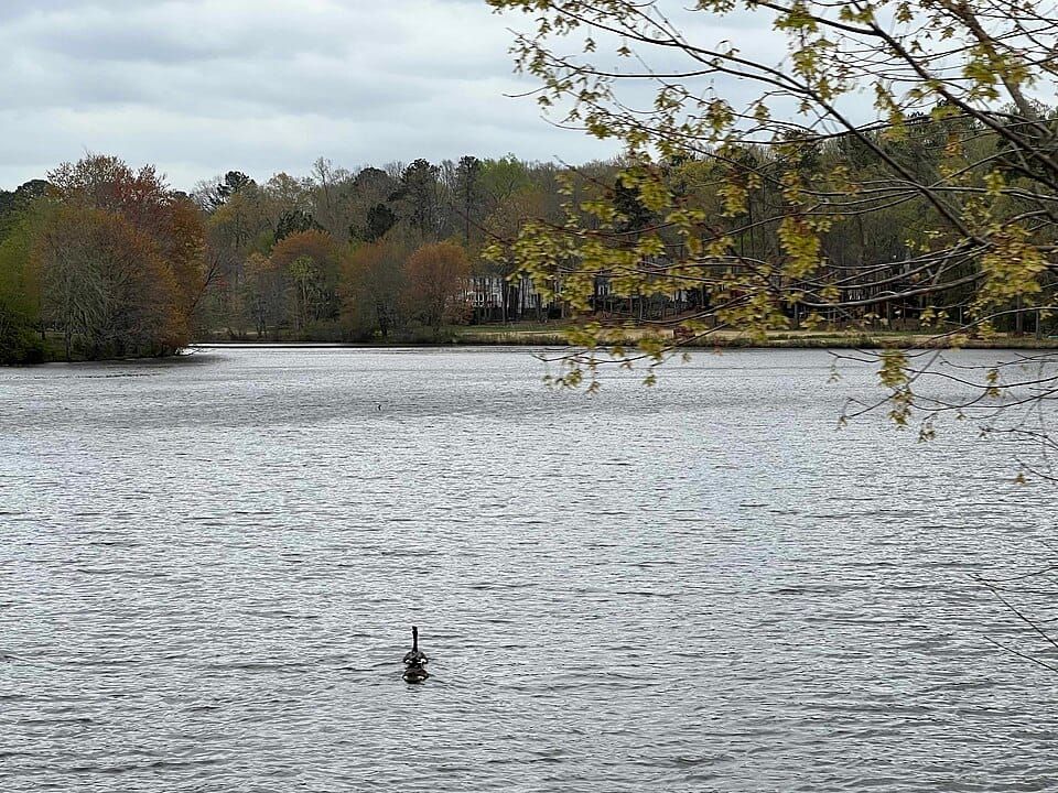 Walton Lake