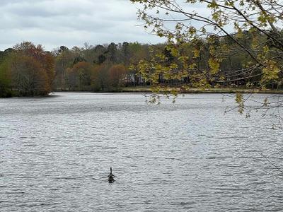 Walton Lake