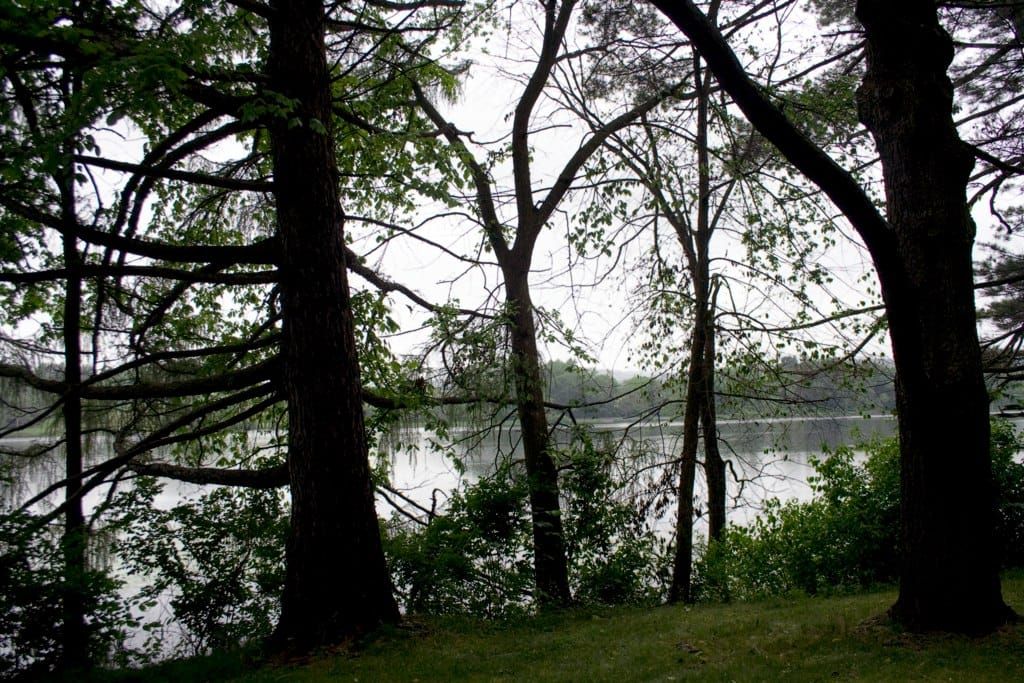 Taconic State Park - Rudd Pond Area