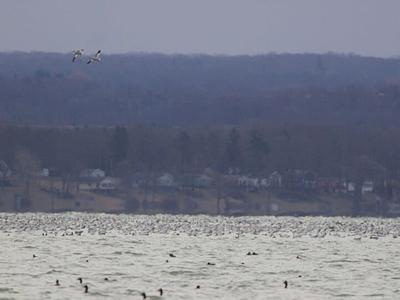 Cayuga Lake State Park