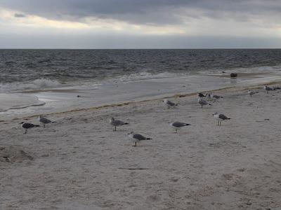 Carrabelle Beach