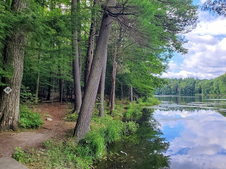 Lake Bonita