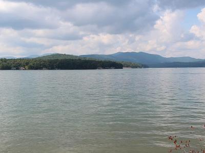 Lake Blue Ridge