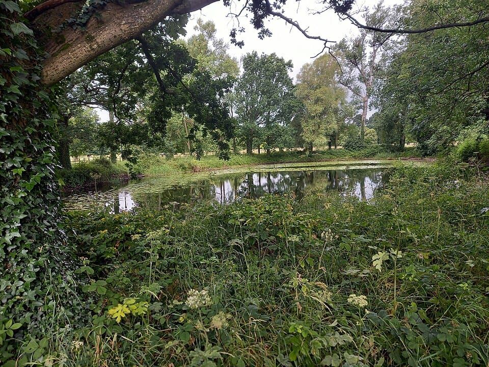 Machine Lake