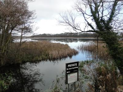 Filby Broad
