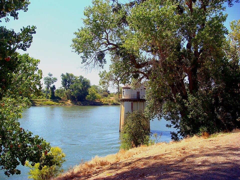 Sacramento River Arm