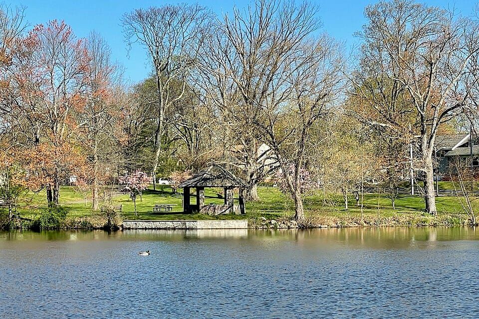 Cedar Brook Lake