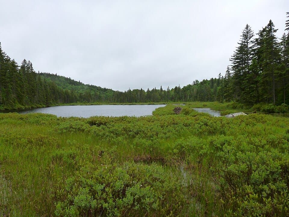 Round Pond
