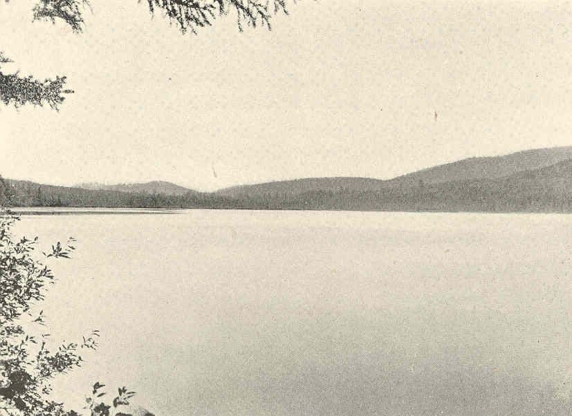 Forked Lake