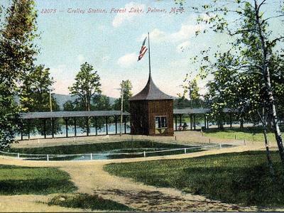 Forest Lake