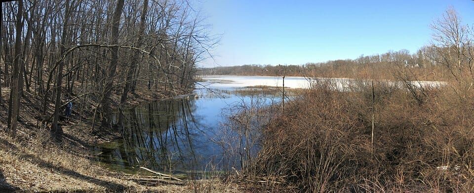Asylum Lake Preserve