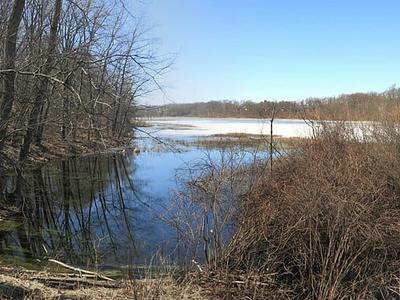 Asylum Lake Preserve
