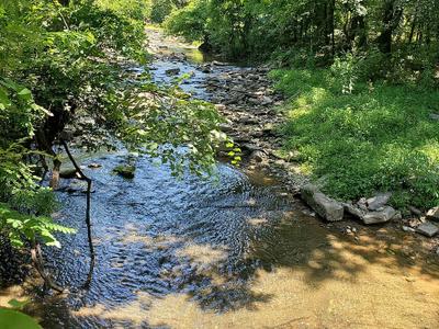 Glenn Creek