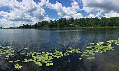 Tee Lake