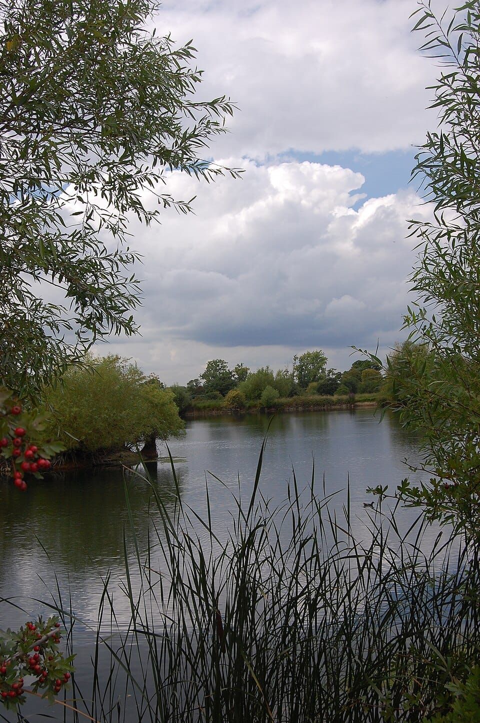 Butler Reservoir