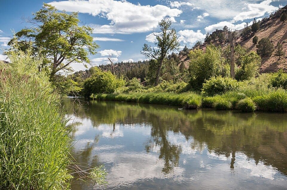 South Fork John Day River