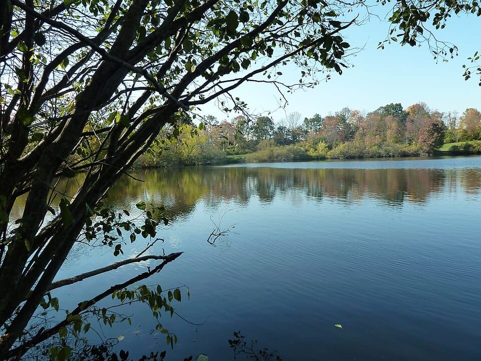 Baxter Lake
