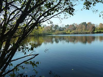 Baxter Lake