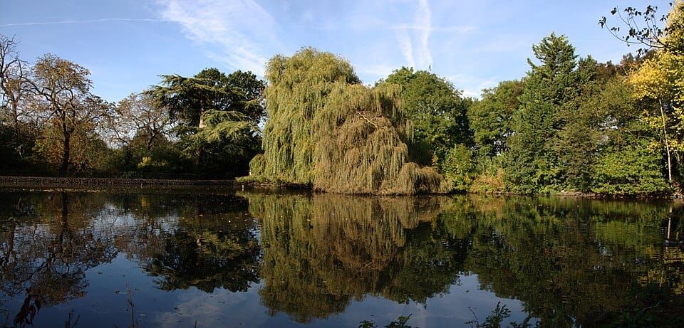 Champions Park Lake